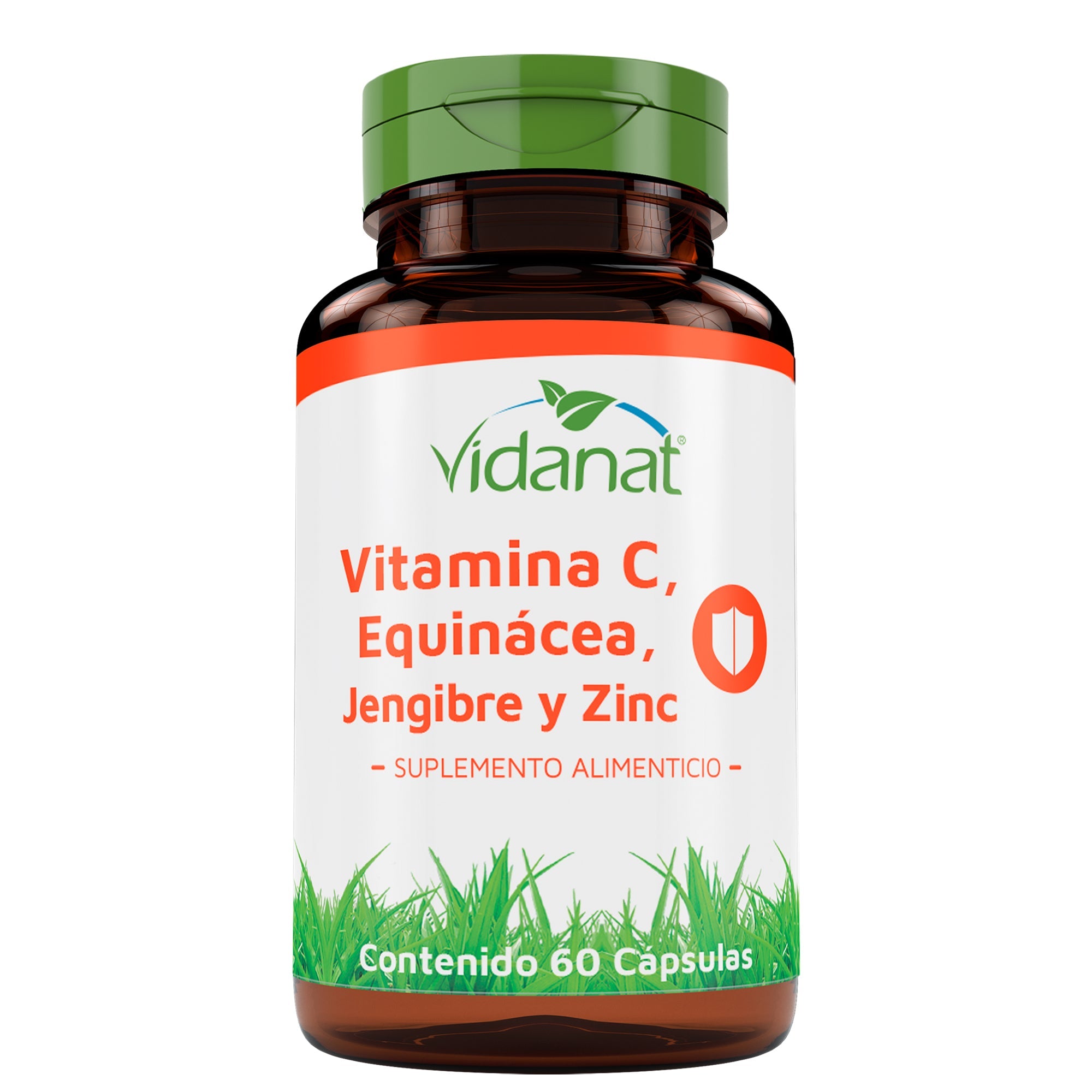 Vitamina C Equinacea Jengibre Y Zinc 60 Capsulas Vidanat