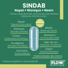 Sindab Nopal Wereke Neem  | Premium Flow 90 Capsulas