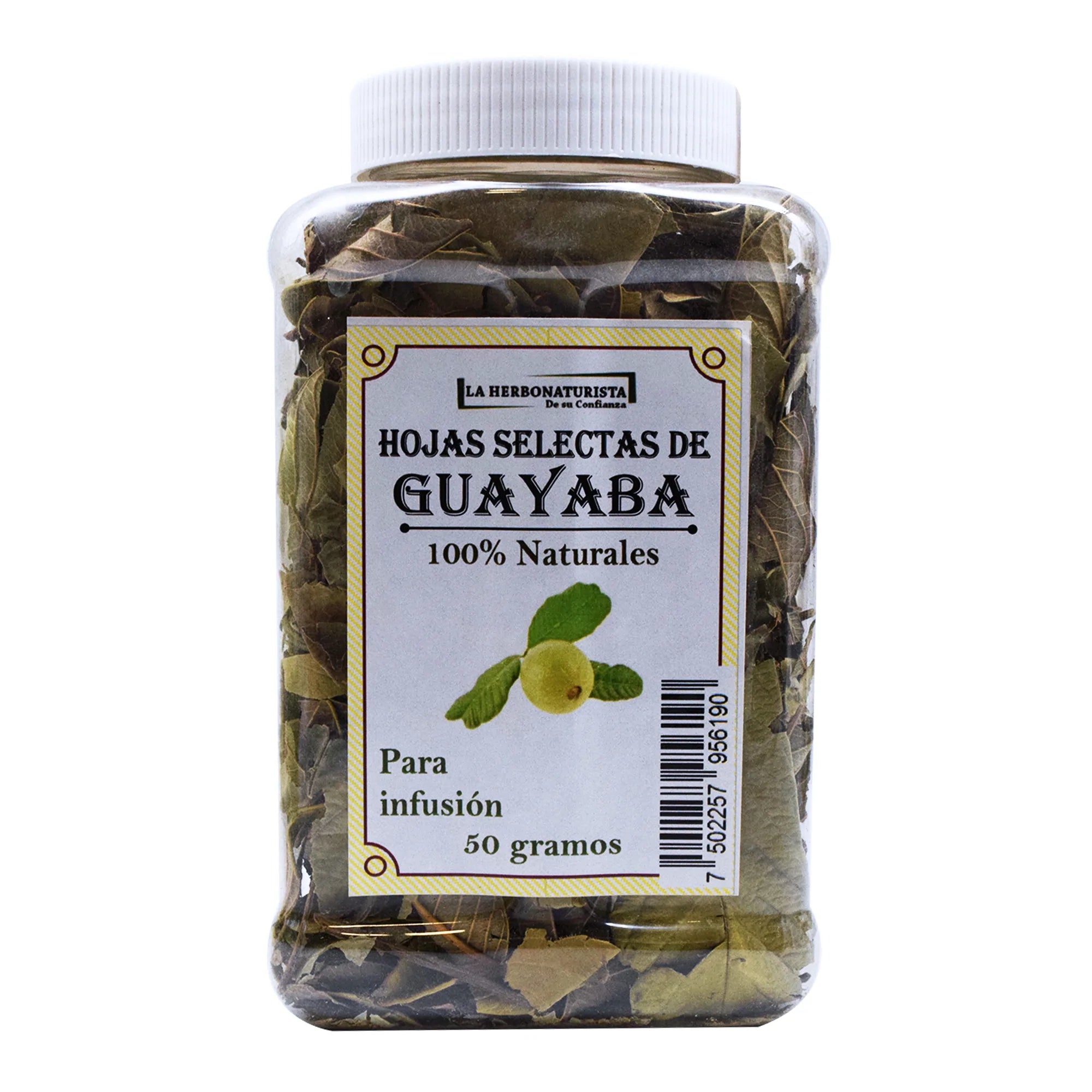 Guayaba Hojas Selectas 50 Grs Natural